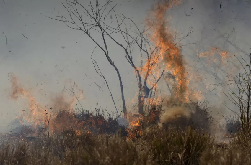  Autoridades chilenas llaman a evacuar localidades cercanas a un incendio forestal
