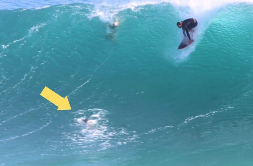  SURF : “Poo-shoot”, de las peores cosas que le pueden pasar al surfista