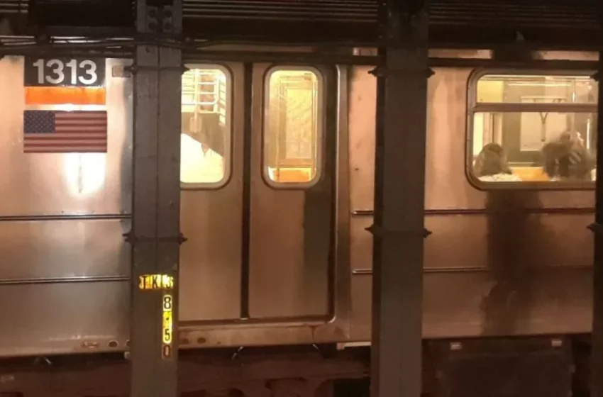  Hombre murió arrollado por tren mientras orinaba en el Metro de Nueva York