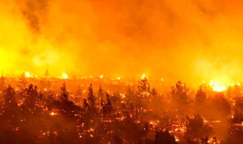  Unos 300 incendios siguen activos en Chile con 425.000 hectáreas devastadas