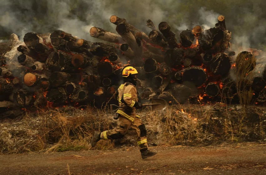  Chile se enfrenta a centenares de incendios forestales y bomberos de la región acuden al rescate