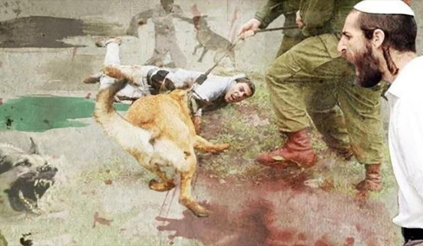  Sionismo: Perros, colonos y política de exterminio