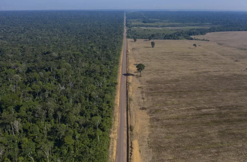  La deforestación en la Amazonía vuelve a subir a niveles récords