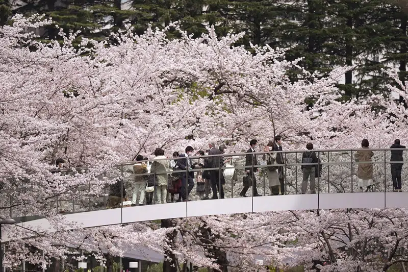  A medida que se avecina el calor del verano, se insta a Japón a reducir el impacto y las emisiones