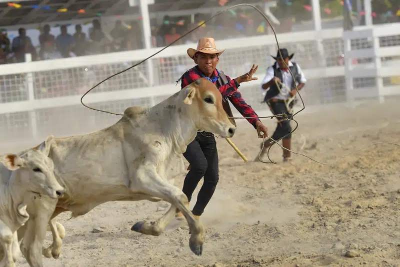 El Rodeo Rupununi de Guyana celebra la cultura vaquera local