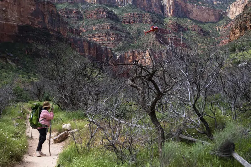  La tribu Havasupai en Arizona marca un regreso espiritual a casa: ‘Seguimos siendo el Gran Cañón’