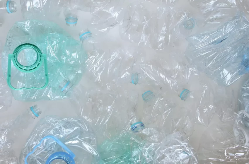  Economía circular, compostables y más: ¿qué ocurre en México con los plásticos?