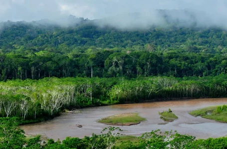 Las Fuerzas Armadas de Bolivia están dispuestas a combatir la minería ilegal en la Amazonía