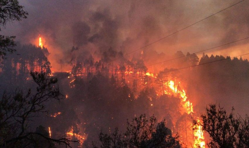  El fuego en la isla de Tenerife, el mayor del año en España, afecta ya a 13.383 hectáreas