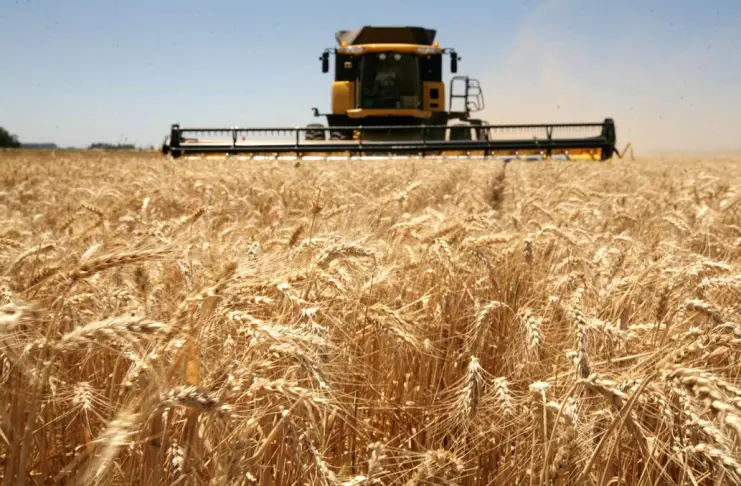  La agroindustria generó el 55% de las exportaciones argentinas