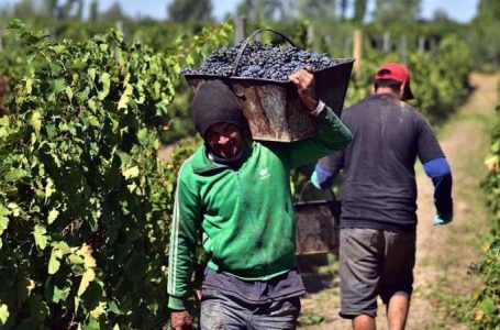 Luego de 30 años, ¿se termina el acuerdo San Juan-Mendoza para diversificar la vitivinicultura?
