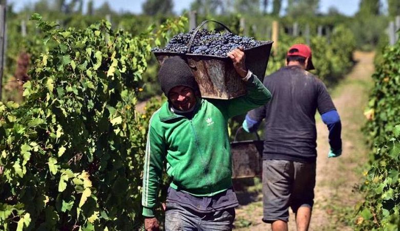 Luego de 30 años, ¿se termina el acuerdo San Juan-Mendoza para diversificar la vitivinicultura?
