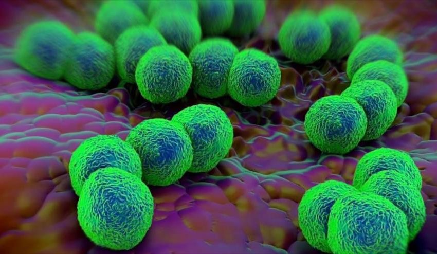  Alerta en China: Aparece una enfermedad resistente a antibióticos