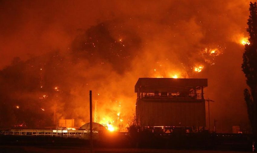  Catorce muertos y decenas de heridos por los incendios forestales en Turquía