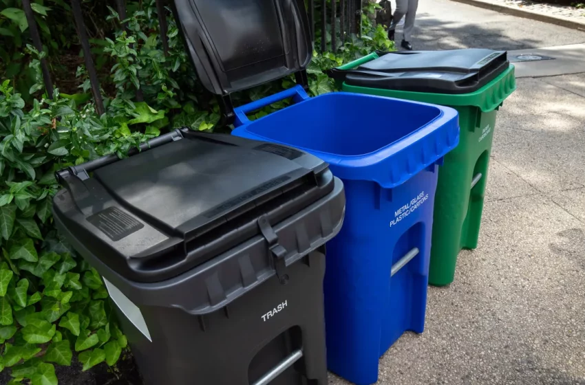  En NYC un nuevo contenedor “oficial” de basura será obligatorio desde noviembre