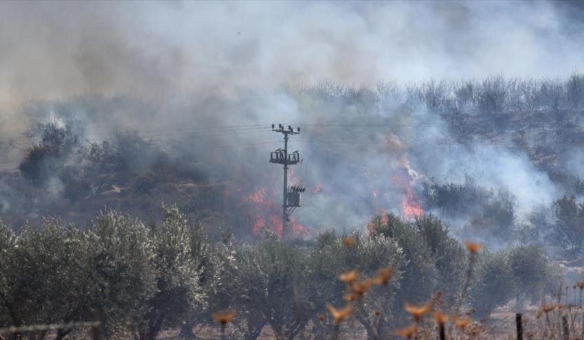  Medio israelí alerta de impacto letal del arsenal de Hezbolá