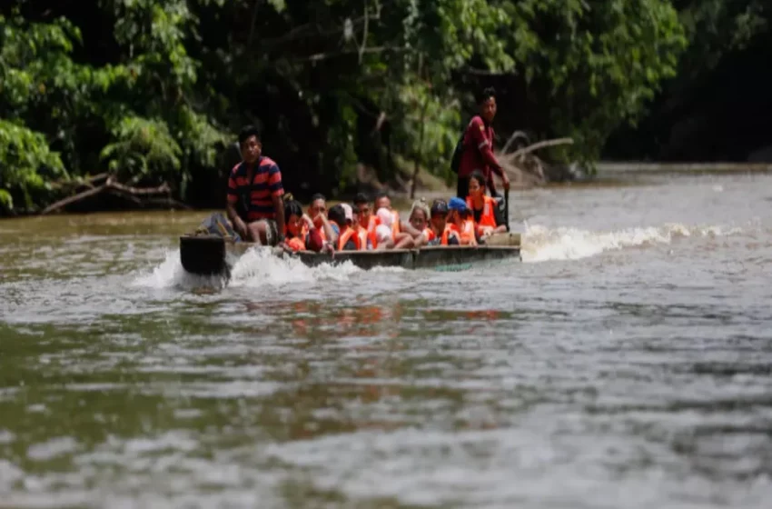  240.000 niños migrantes han cruzado la ruta del Darién en cinco años