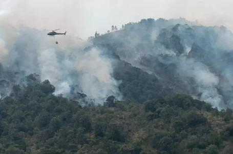 Los incendios afectan a 10.200 hectáreas en dos provincias sureñas de Ecuador