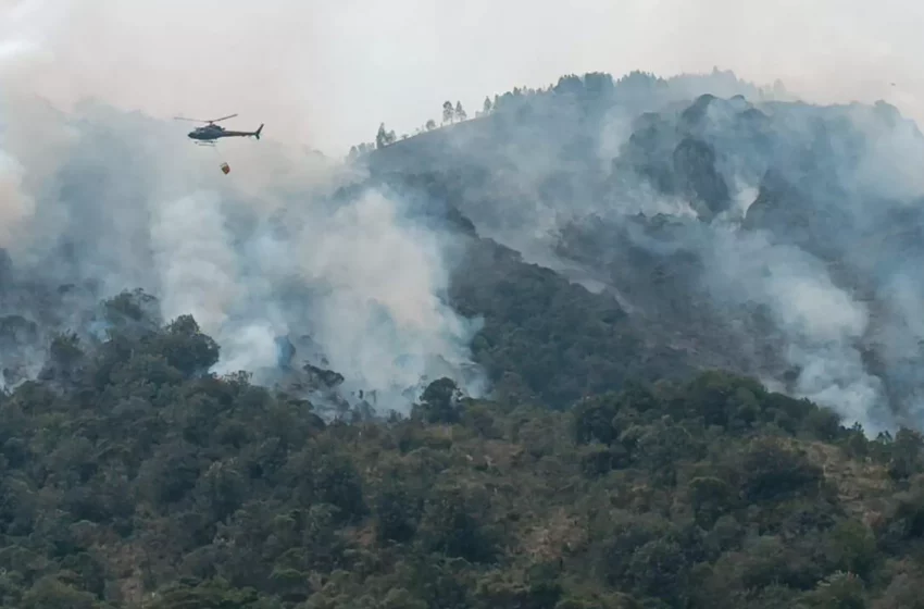  Los incendios afectan a 10.200 hectáreas en dos provincias sureñas de Ecuador