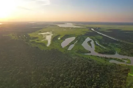 Hallan más cuerpos y sube a ocho cifra de muertos en colapso de puente en Brasil