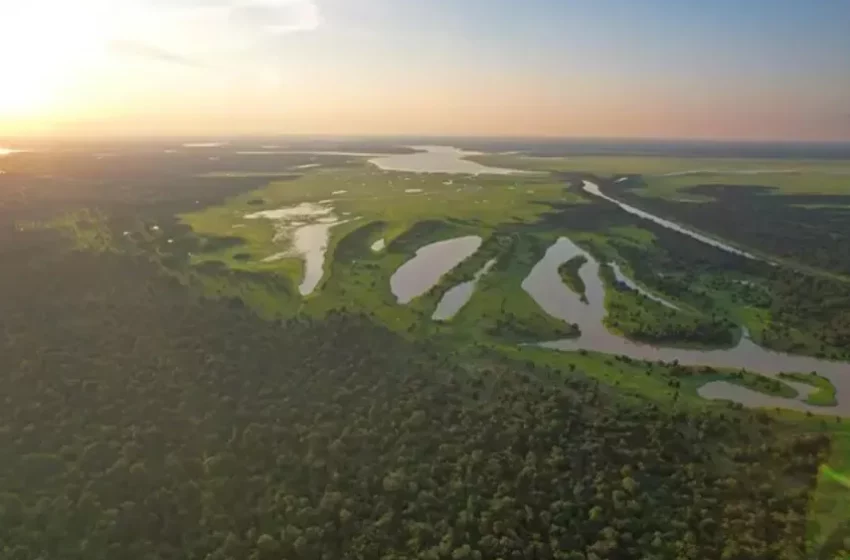  Hallan más cuerpos y sube a ocho cifra de muertos en colapso de puente en Brasil