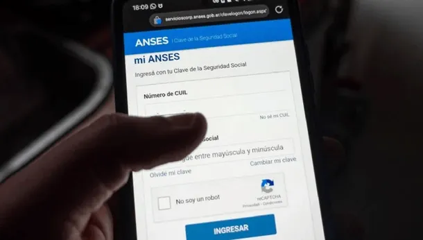  ANSES: el documento que pide el organismo para poder hacer los últimos trámites del año