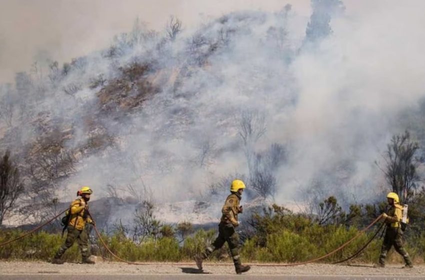  El intendente de El Bolsón aseguró que los incendios se están acercando a la ciudad: “Se está quemando todo”